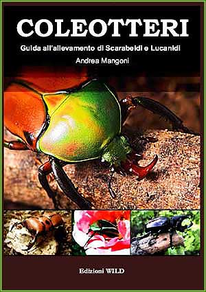 Coleotteri - Guida all'allevamento di Scarabeidi e Lucanidi